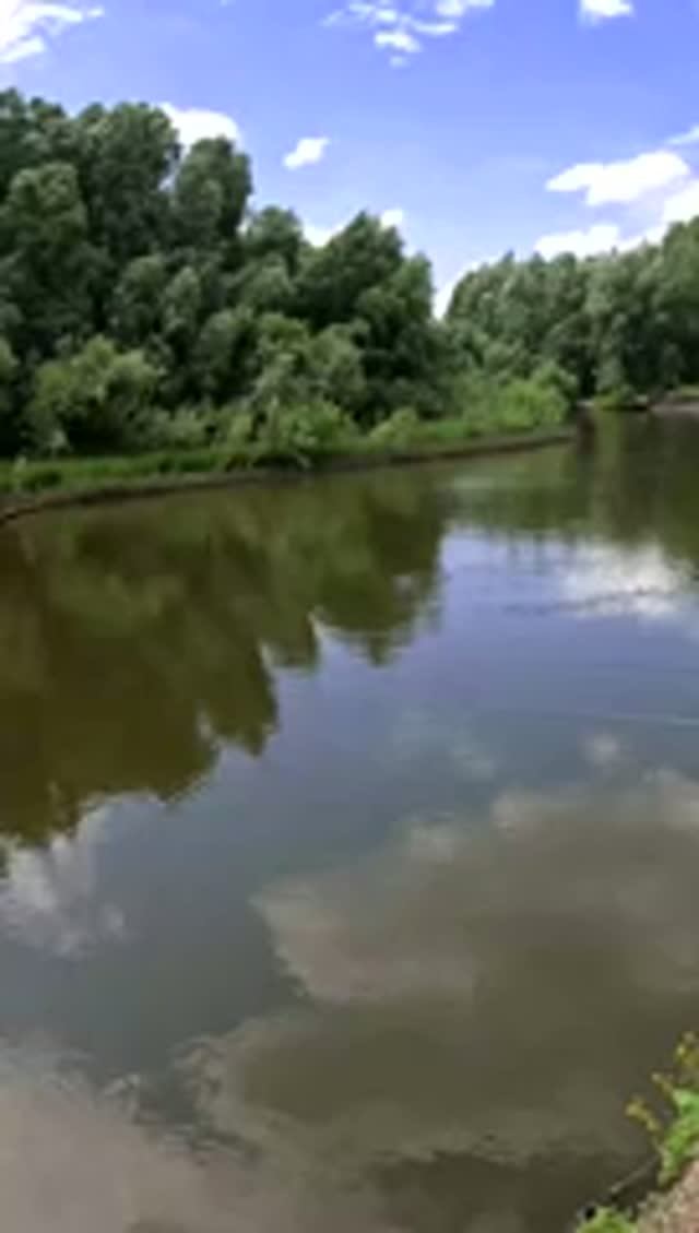 Рыбалка на р.Лосиха
