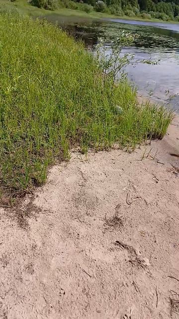 пляж смотреть онлайн