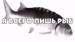 Я ВСЕГО ЛИШЬ РЫБ КАВЕР НА I am just a fish full cover от Kenji's