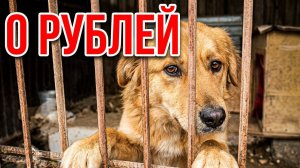 Нас не слышат... Как выжить летом?