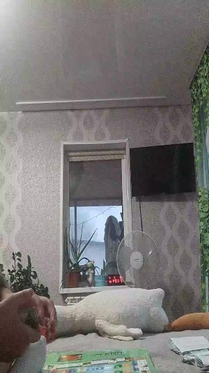 играем в настолку (банкир)