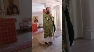 Проповедь иерея Павла Каледы в день памяти прписп. Фамари (Марджановой)