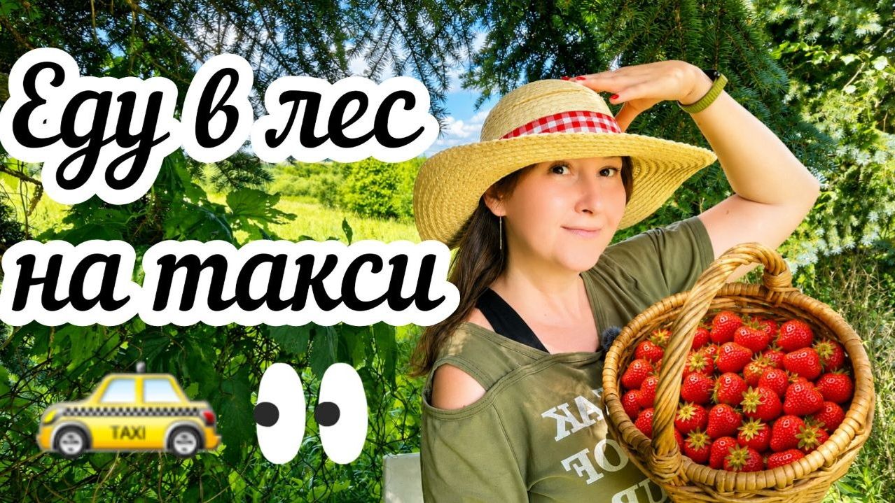 Живу в деревне, работаю удаленно и езжу в лес на такси🌲🚕 Как я дошла до такой жизни?😳 смотреть онлайн