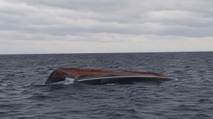 Рыбаки пропали в Авачинском заливе после крушения лодки на Камчатке