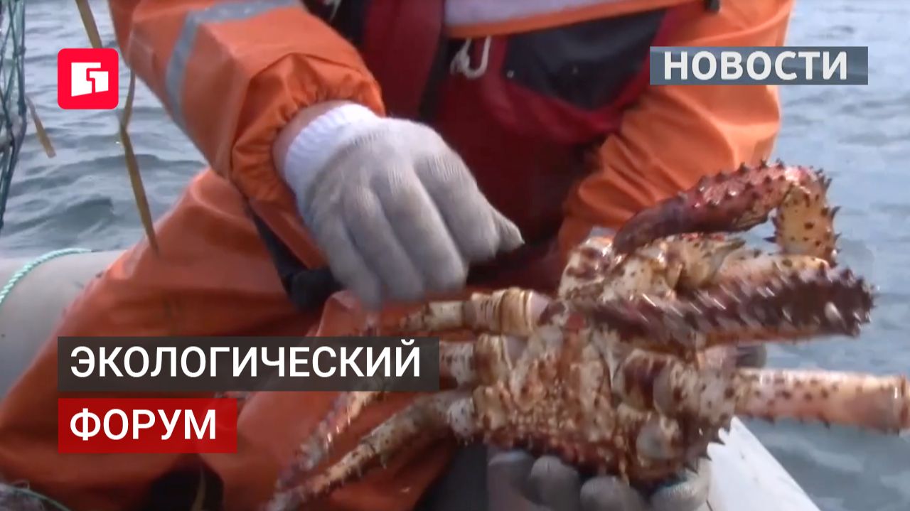 Учёные, власти и бизнес встретились на экофоруме «Гармония 2030» в Ванино. 22/06/2026