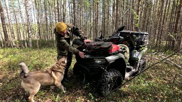 Забрались в глушь с удочкой и спиннингом. Рыбалка с собакой. Рыбалка на озере смотреть онлайн