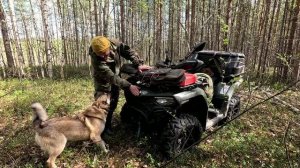 Забрались в глушь с удочкой и спиннингом. Рыбалка с собакой. Рыбалка на озере