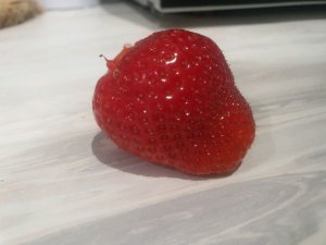 всем привет
