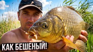 Рыбалка на карася! ТОП-5 способов насадки опарыша на крючок для новичков