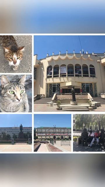 Почему в основном слушаю я музыку и Садхгуру