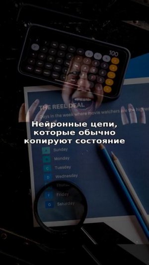 Как видео с дракой выключает 70% вашей эмпатии