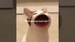 мне вернуться нет?