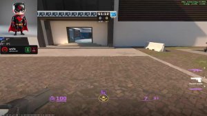 CS2 35lvl faceit кска