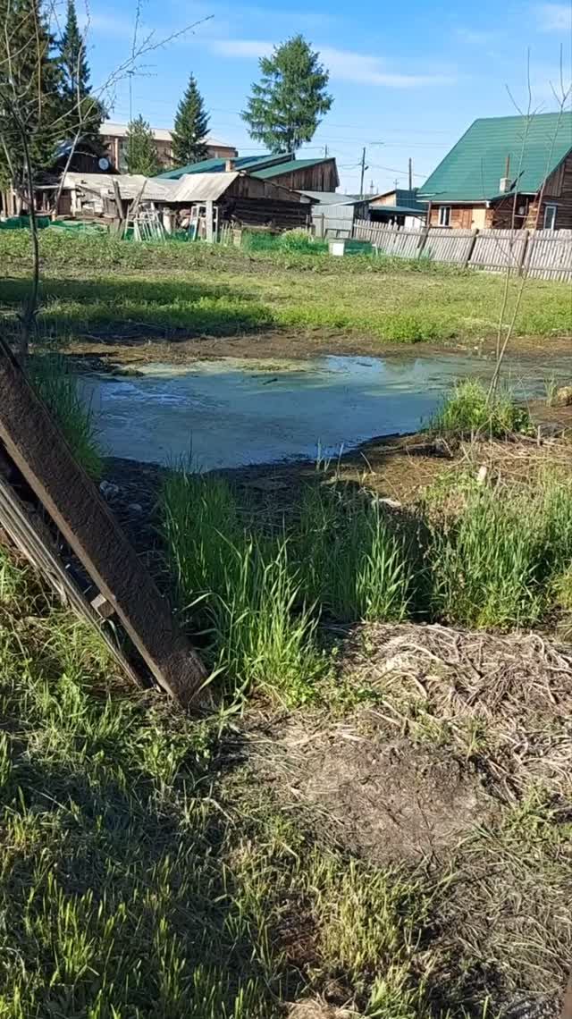 Юрич на огороде!)