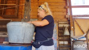 ЖИВЕТ МУЧАЕТСЯ И НЕ ПОМИРАЕТ,С ХОЗЯЙСТВОМ НА АЛТАЕ