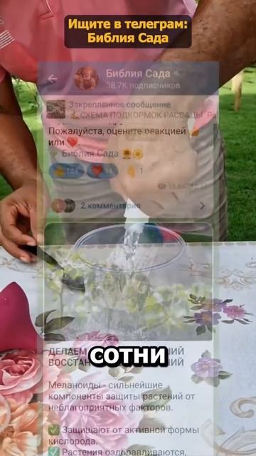 Как побороть сорняк. смотреть онлайн