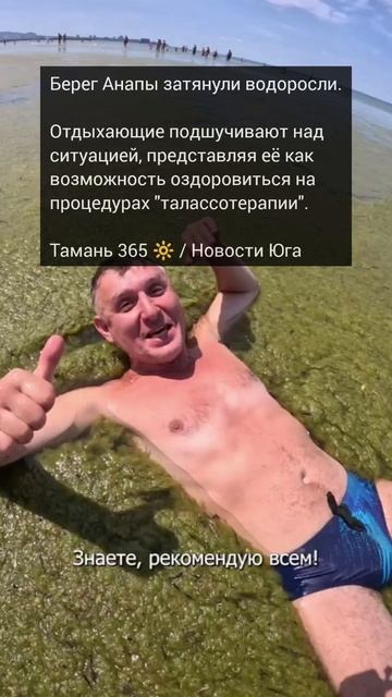 Берег Анапы затянули водоросли.Отдыхающие шутят, что теперь могут оздоровиться на  