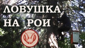 Ловушка на рои