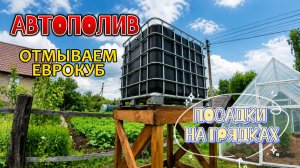 ТЕПЛИЦА ГОТОВА/ОТМЫВАЕМ ЕВРОКУБ ДЛЯ АВТОПОЛИВА/ПОСАДКИ НА ГРЯДКАХ