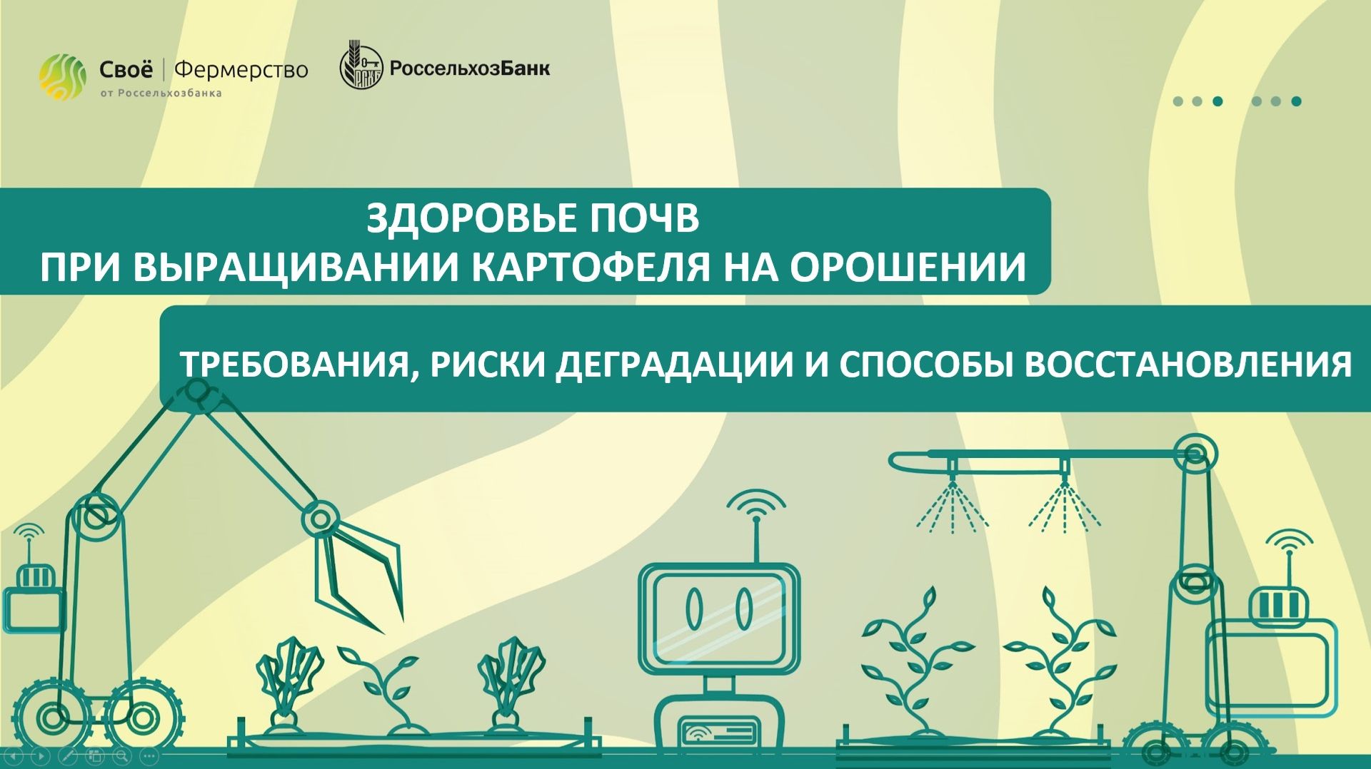 Здоровье почв при выращивании картофеля на орошении: требования, риски деградации и восстановление смотреть онлайн
