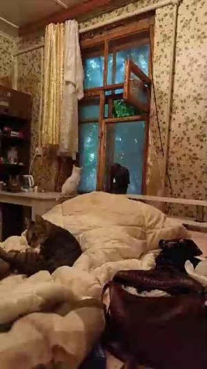 Транса