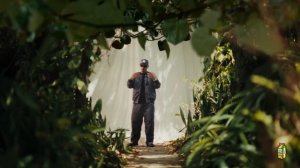 YG Marley - Praise Jah in the Moonlight (Official Music Video)