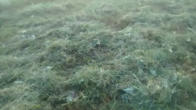 Половину выкосил)))2
