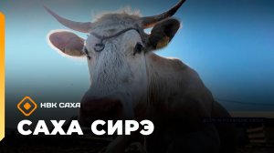 «Саха сирэ» информационнай биэрии. Бэс ыйын 23 күнэ 10.00