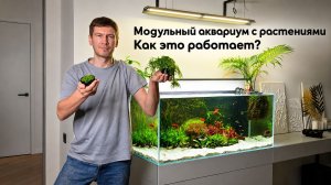 Модульный дизайн аквариума. Как это работает