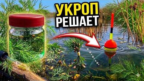Просто добавь УКРОП! Рыба встает в очередь за этой насадкой. Поплавок 2026 смотреть онлайн