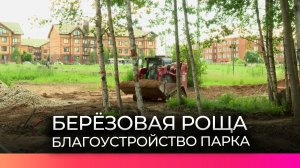 В Псковском микрорайоне продолжают работы по благоустройству парка «Берёзовая роща»