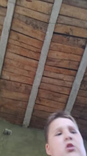 https://www.donationalerts.com/r/dimonxer ссылка на донат
