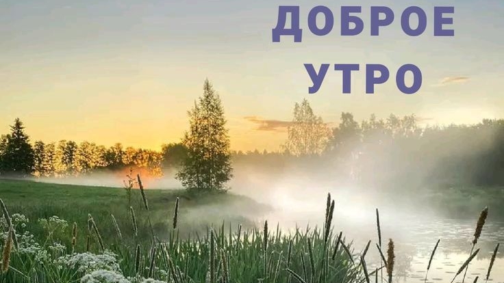 Доброе летнее утро! Шикарная музыкальная открытка.