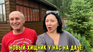 Новый хищник у нас на даче! Чуть не случилась катастрофа! Пронесло!