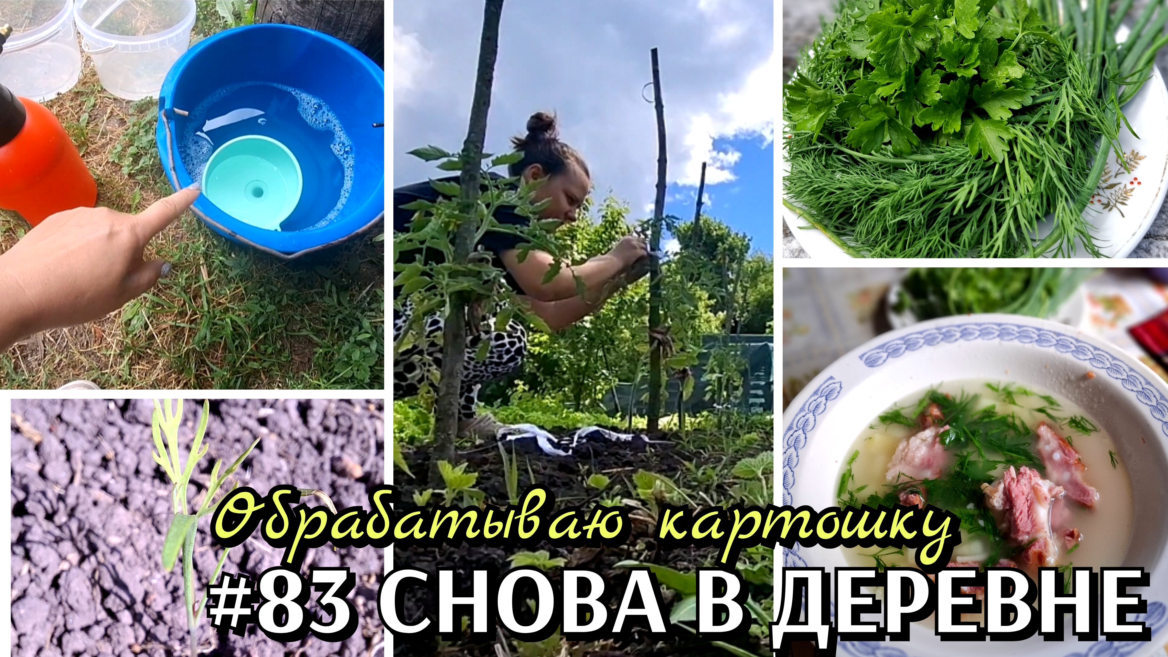 #83 выходные в деревне / обрабатываю картошку #деревенскаяжизнь смотреть онлайн