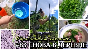 #83 выходные в деревне / обрабатываю картошку #деревенскаяжизнь