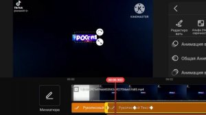 Заставка «Россия 1» logo beez kinemaster remake spedrun