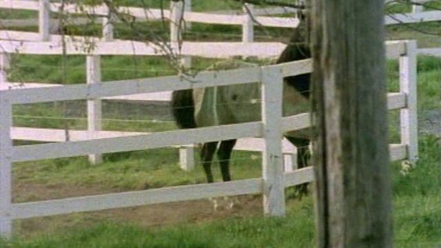 Возвращение в Эдем 2 сезон 11 серия «Игра окончена» (сериал, 1986)