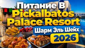 Pickalbatros palace resort - Питание, шведский стол, рестораны. Шарм Эль Шейх 2026