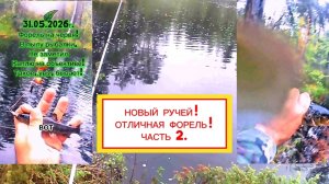 ЛОВЛЮ ФОРЕЛЬ В НОВОМ РУЧЬЕ! ПЕРВОЕ ЗНАКОМСТВО С РУЧЬЕМ! Ч.2 #рыбалка #fishing #форель #форельначервя