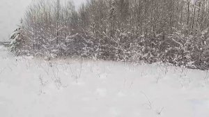 Охота на тетерева с лунок. Добыл Косача! Сломался снегоход в лесу.