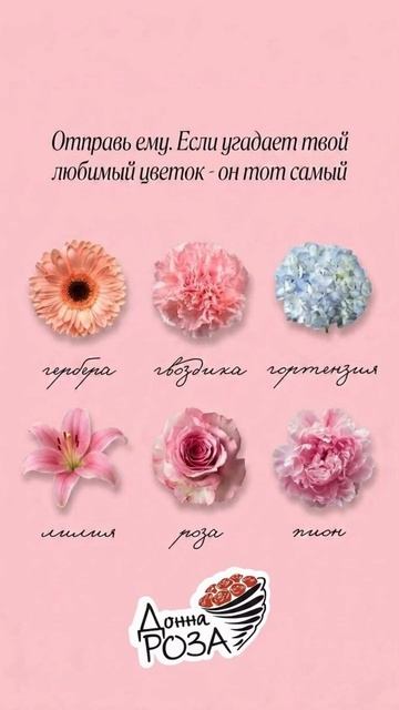 Отправь ему 😉