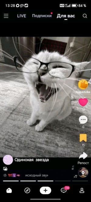 Школа не работает