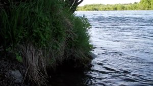 ПАВОДОК НА КАМЧАТКЕ