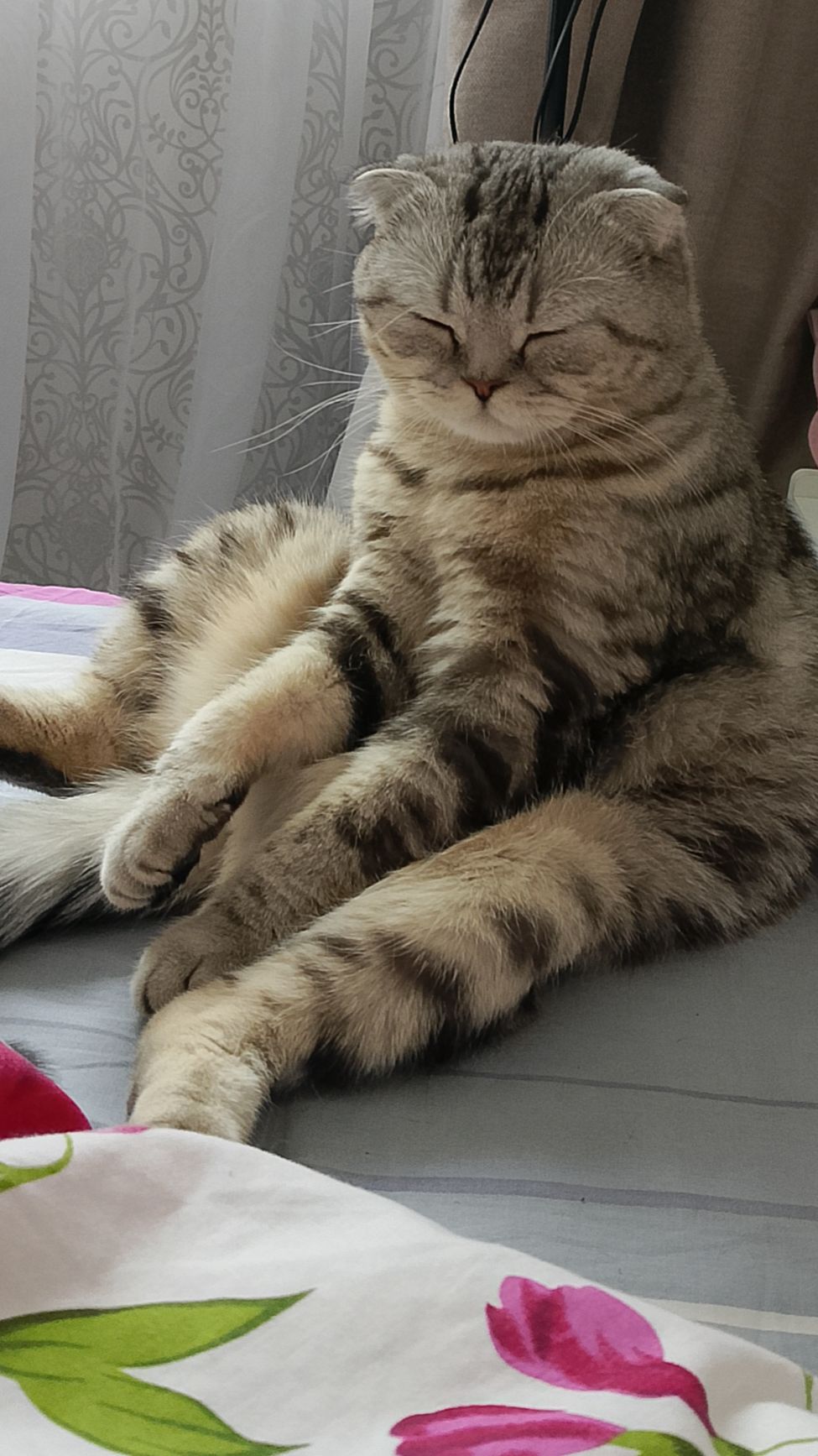 Биатрисина готовится ко сну 🐱