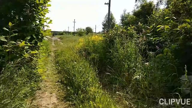 МЫ РОДОМ ИЗ ДЕРЕВНИ