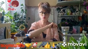 🖋️🚀ШИНДЫР МЫНДЫР И ПОШЛИ,ВСЁ  ПАМЯТИ💃🔥 МОИ БУДНИ 🚀🖋️