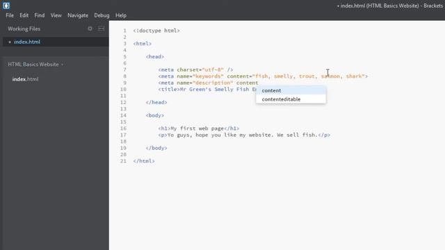 HTML Tutorial for Beginners 05 - Head and Body Tag смотреть онлайн