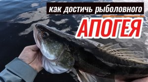 Овальный бланк. Такого вы точно не видели.