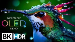 Невероятное Dolby Vision™ 8K HDR, 60 кадров в секунду #Видео 8K Ультра HD